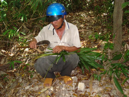 100 năm... cái nghề `đi dầu`