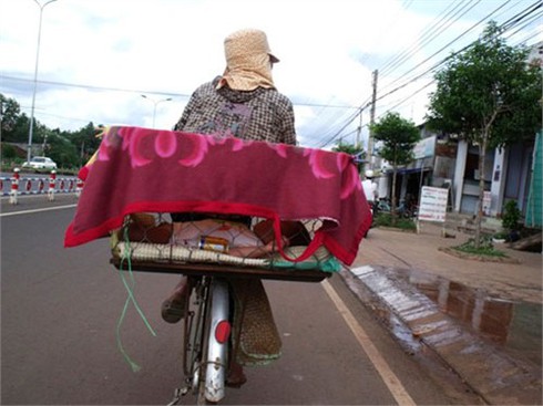 Người mẹ nhốt con vào cũi đi bán vé số