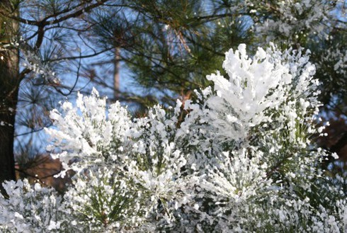 Tuyết sắp `rơi` ở Sài Gòn