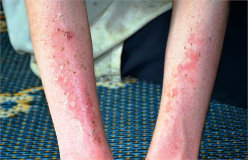 Huyễn hoặc những câu chuyện về thần A’ul của người Cơtu