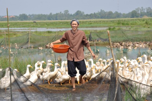 Hoài Linh chăn vịt và `huấn luyện` đỉa