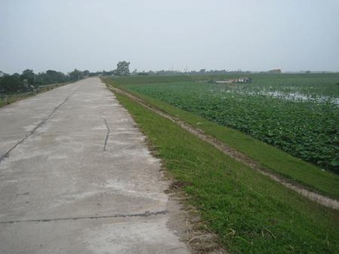 Nhiều trộm cắp, cướp giật hoành hành trong đêm Noel