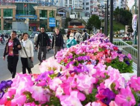 Festival hoa Đà Lạt 2012: Đi tới đâu bị “chém đẹp” tới đó