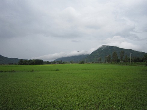 Du lịch An Giang thắng lớn