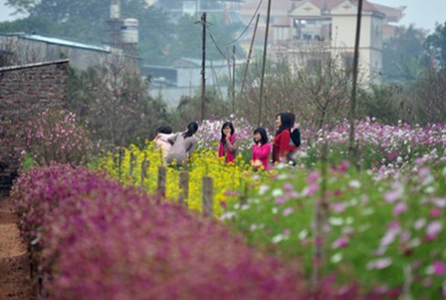Tour Tết: Giá nằm ngoài tầm kiểm soát