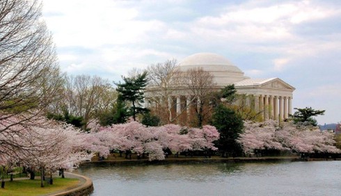 Những lễ hội hoa hút khách nhất thế giới