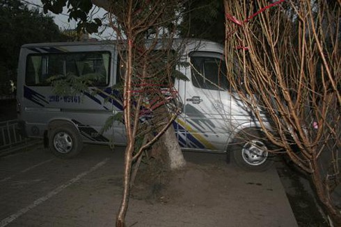 Thuê vỉa hè 1 triệu/ngày bán hoa Tết