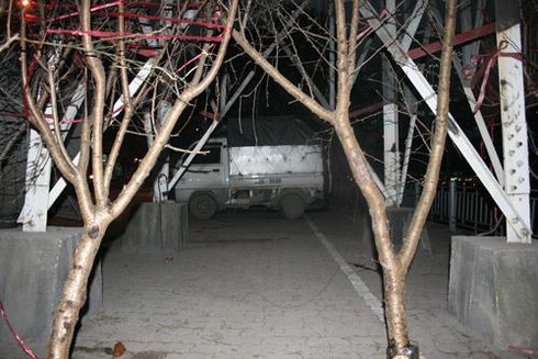 Thuê vỉa hè 1 triệu/ngày bán hoa Tết