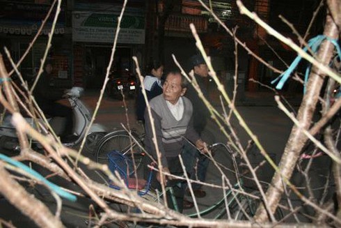 Thuê vỉa hè 1 triệu/ngày bán hoa Tết