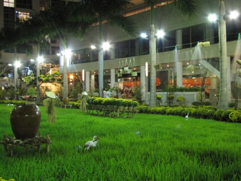 Hội hoa xuân “hoa đồng cỏ nội”