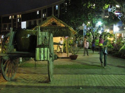 Hội hoa xuân “hoa đồng cỏ nội”