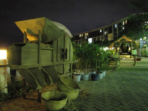 Hội hoa xuân “hoa đồng cỏ nội”