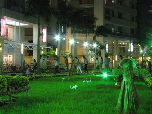 Hội hoa xuân “hoa đồng cỏ nội”