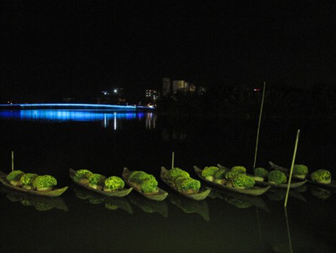 Hội hoa xuân “hoa đồng cỏ nội”