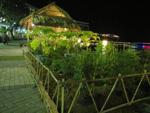 Hội hoa xuân “hoa đồng cỏ nội”