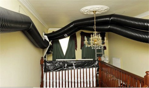 Hai người Việt bị bắt tại chỗ trong sào huyệt trồng cần sa ở Anh