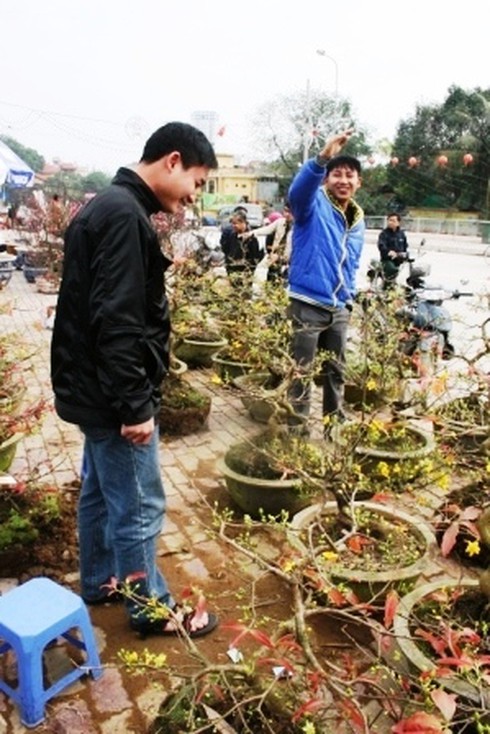 Hoa cảnh giá bằng một nửa năm ngoái vẫn ế