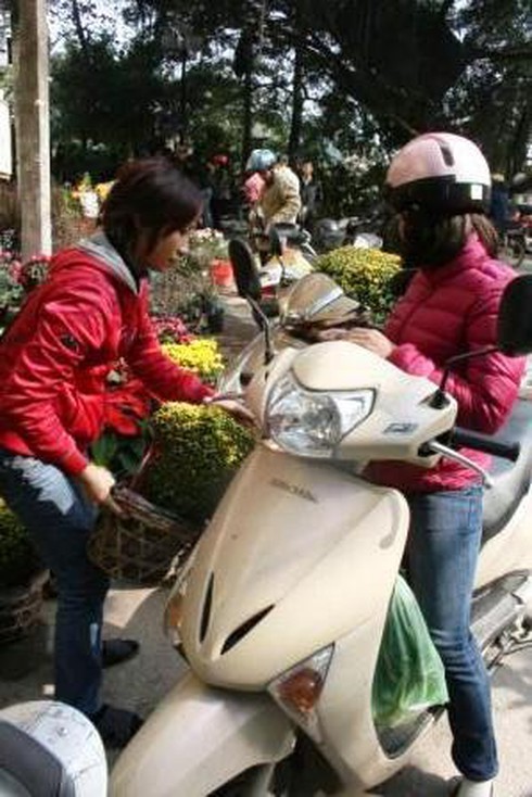 Hoa cảnh giá bằng một nửa năm ngoái vẫn ế