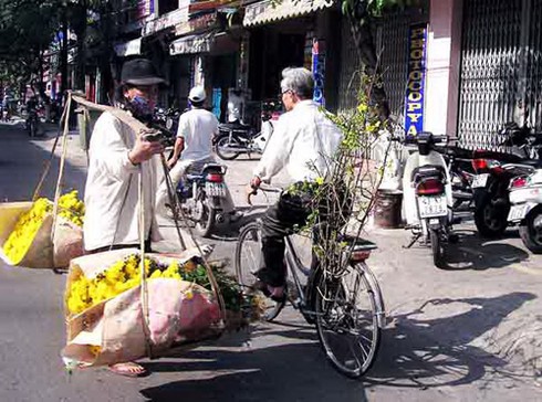 Đà Nẵng tràn ngập sắc xuân