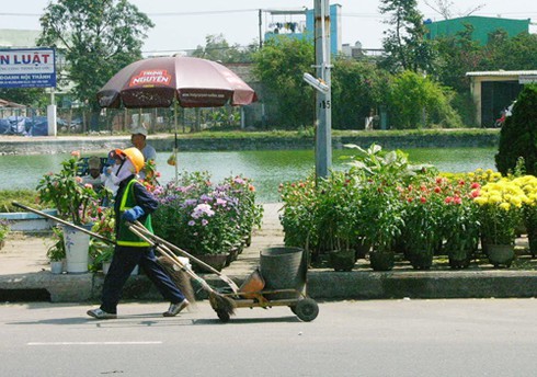 Đà Nẵng tràn ngập sắc xuân