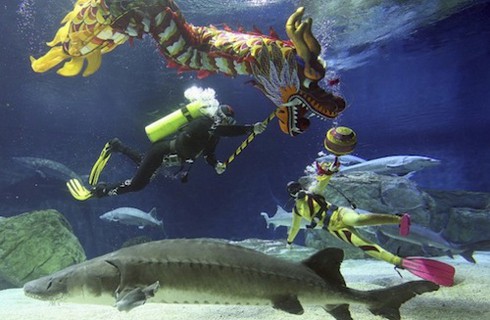 Thế giới rộn ràng chào đón năm Rồng