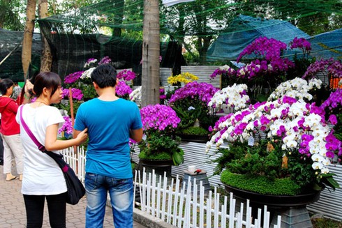 Người Sài Gòn nô nức chơi xuân