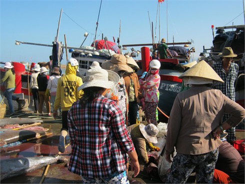 Đầu năm trúng mùa cá trên biển Trường Sa