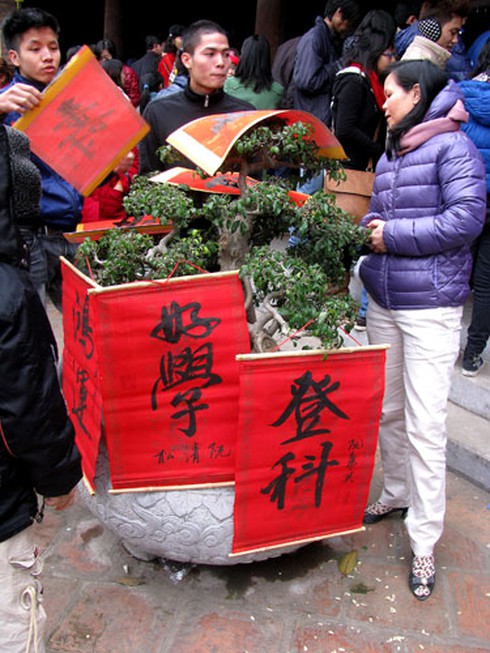 Rồng rắn xin chữ đầu năm