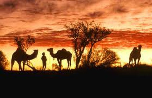 Con gái du xuân Nhâm Thìn