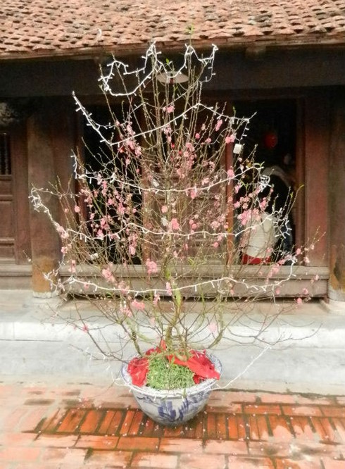 Vào chùa không sư ngày đầu năm mới