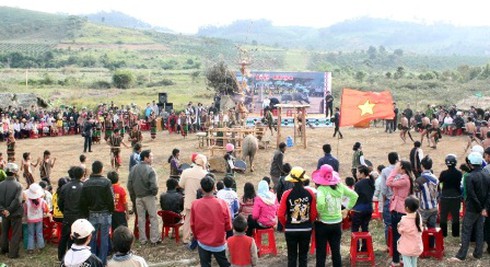 Yếu vía thì không xem Lễ hội đâm trâu