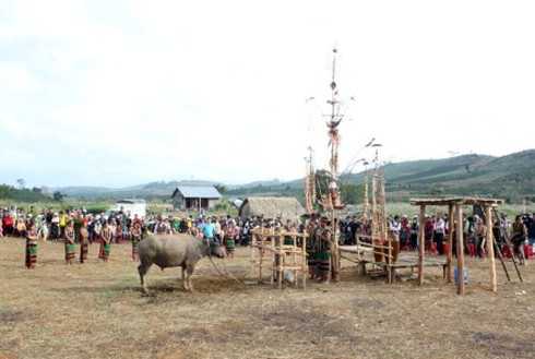 Yếu vía thì không xem Lễ hội đâm trâu
