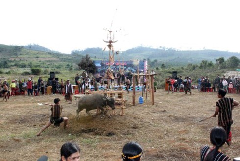 Yếu vía thì không xem Lễ hội đâm trâu