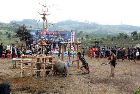 Yếu vía thì không xem Lễ hội đâm trâu