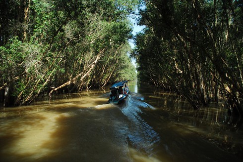 Vồ Dơi hút khách