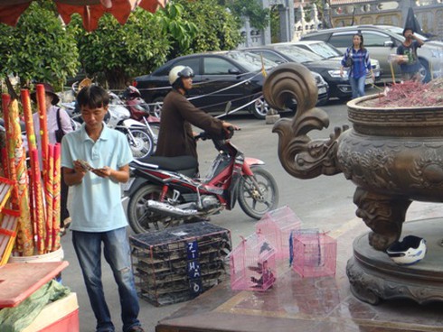 Bát nháo, nhếch nhác nơi cửa Phật