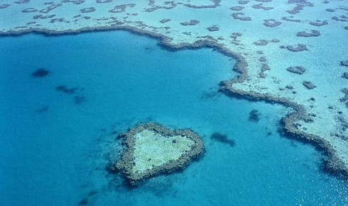 Thiên nhiên cũng chào đón Ngày lễ tình yêu