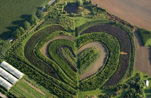 Thiên nhiên cũng chào đón Ngày lễ tình yêu