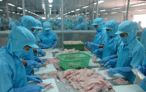 DN thủy sản `dọa` nhập khẩu bao bì vì thuế môi trường