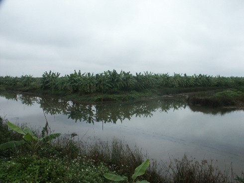 Vợ, em dâu ông Vươn gửi đơn xin Chủ tịch nước khoan hồng