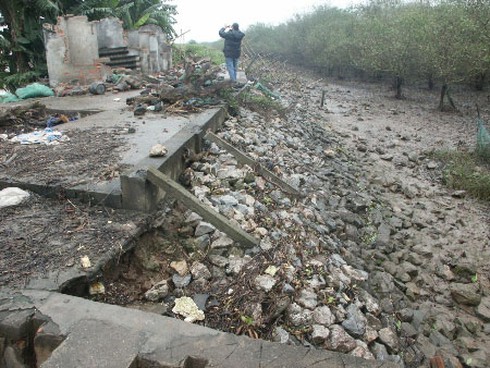 Vợ, em dâu ông Vươn gửi đơn xin Chủ tịch nước khoan hồng