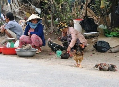 Làm ngơ cho buôn bán gia súc, gia cầm không kiểm dịch?