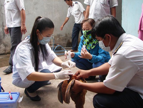 Hà Nội phân bổ 7 triệu liều vắc xin cúm gia cầm