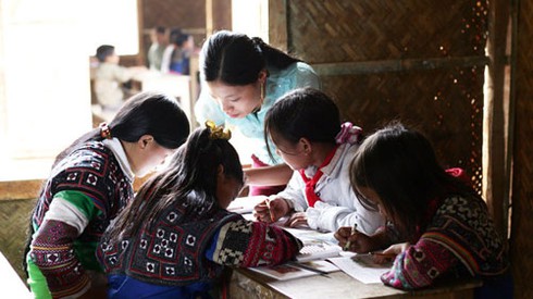 Nhánh hoa rừng tặng cô ngày 8/3