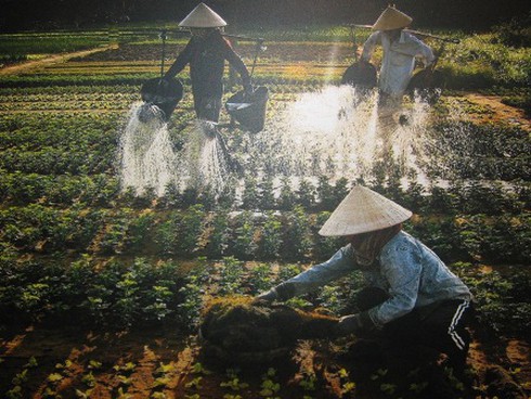 Triển lãm tranh “Đời nón – đời người”