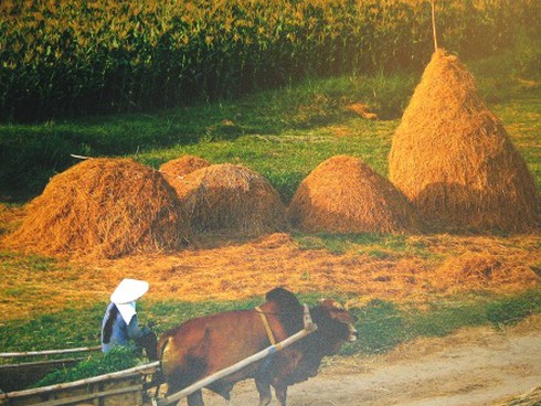 Triển lãm tranh “Đời nón – đời người”