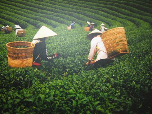 Triển lãm tranh “Đời nón – đời người”