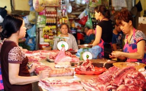 “Đại gia” nuôi heo phá sản vì chất tạo nạc