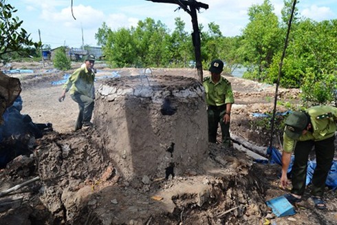 Cà Mau: “Than tặc” hoành hành