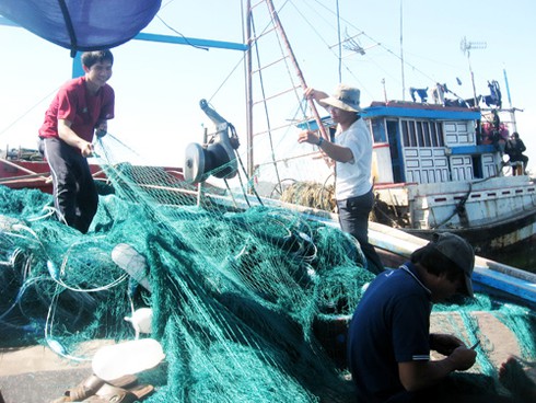 Đà Nẵng: 100% ngư dân tàu cá 50CV trở lên đã được mua bảo hiểm